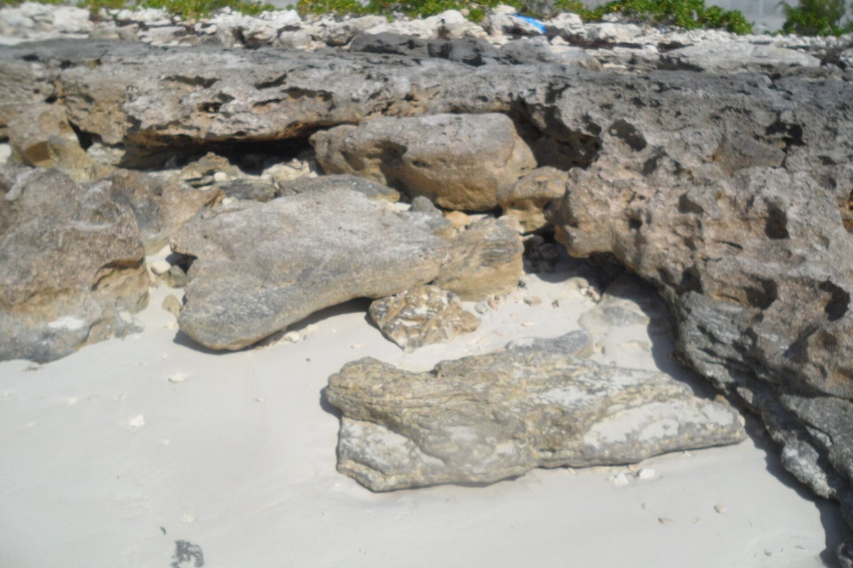 Fractured karst limestone bedrock formation in Wisconsin susceptible to rapid groundwater infiltration