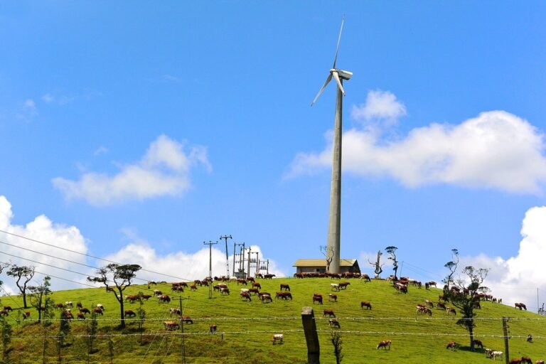 Utility-scale wind turbines generating renewable electricity across southwestern Minnesota prairie farmland