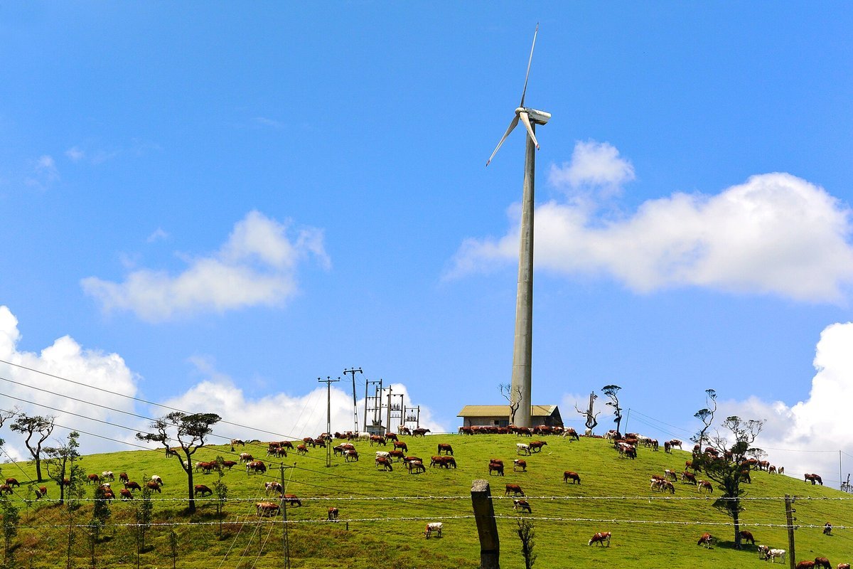 Utility-scale wind turbines generating renewable electricity across southwestern Minnesota prairie farmland