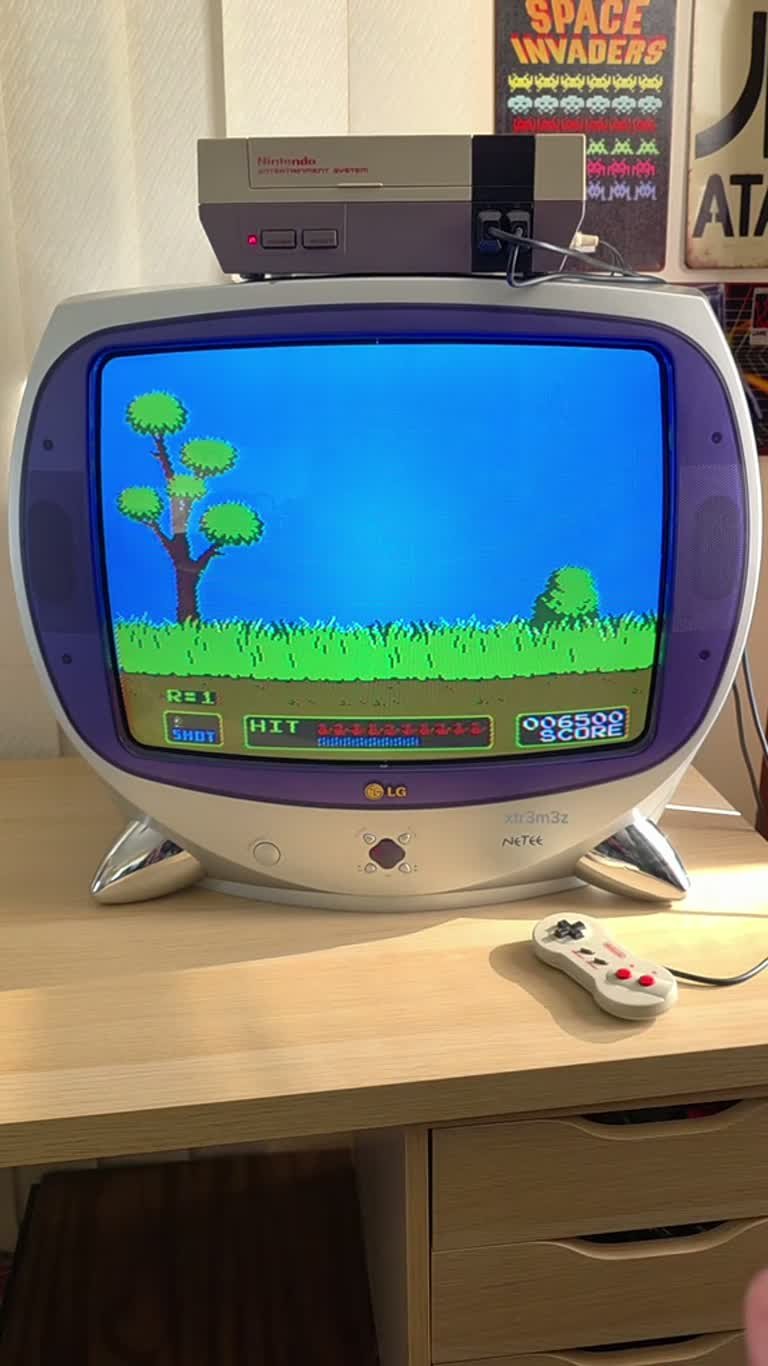 Illustrative photograph: Duck Hunt on NES: The Zapper, the Dog and One Perfect Round