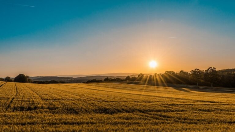 Rural agricultural landscape and expansive farmstead in North Carolina