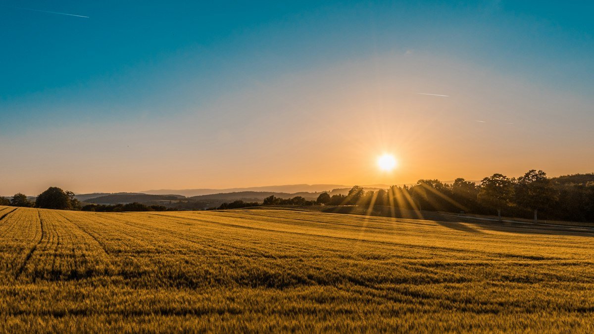 Rural agricultural landscape and expansive farmstead in North Carolina