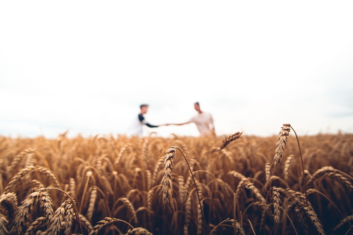 Agricultural farmland and harvesting infrastructure in the southeastern United States