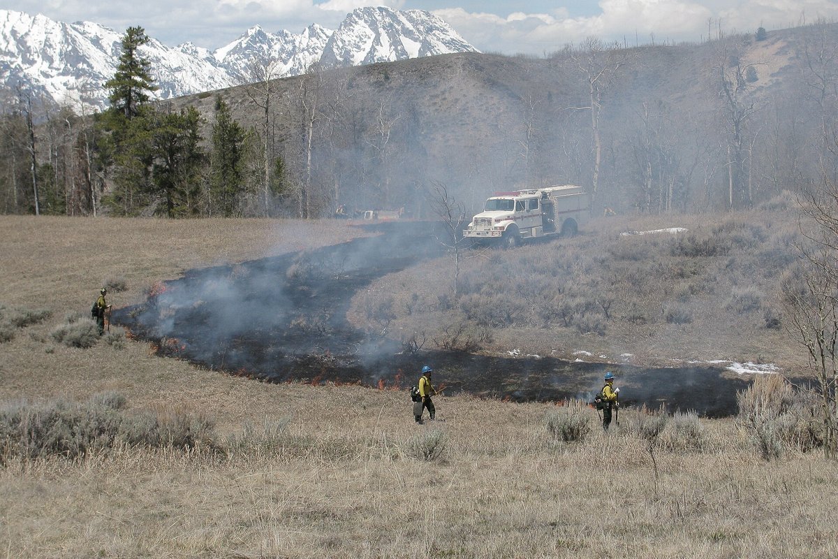 Defensible space buffer zone cleared of combustible brush and ladder fuels around a forest structure